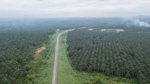 Plantations de la Ferme Suisse